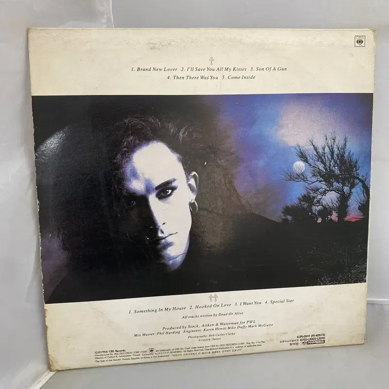 DEAD OR ALIVE LP / AA4305