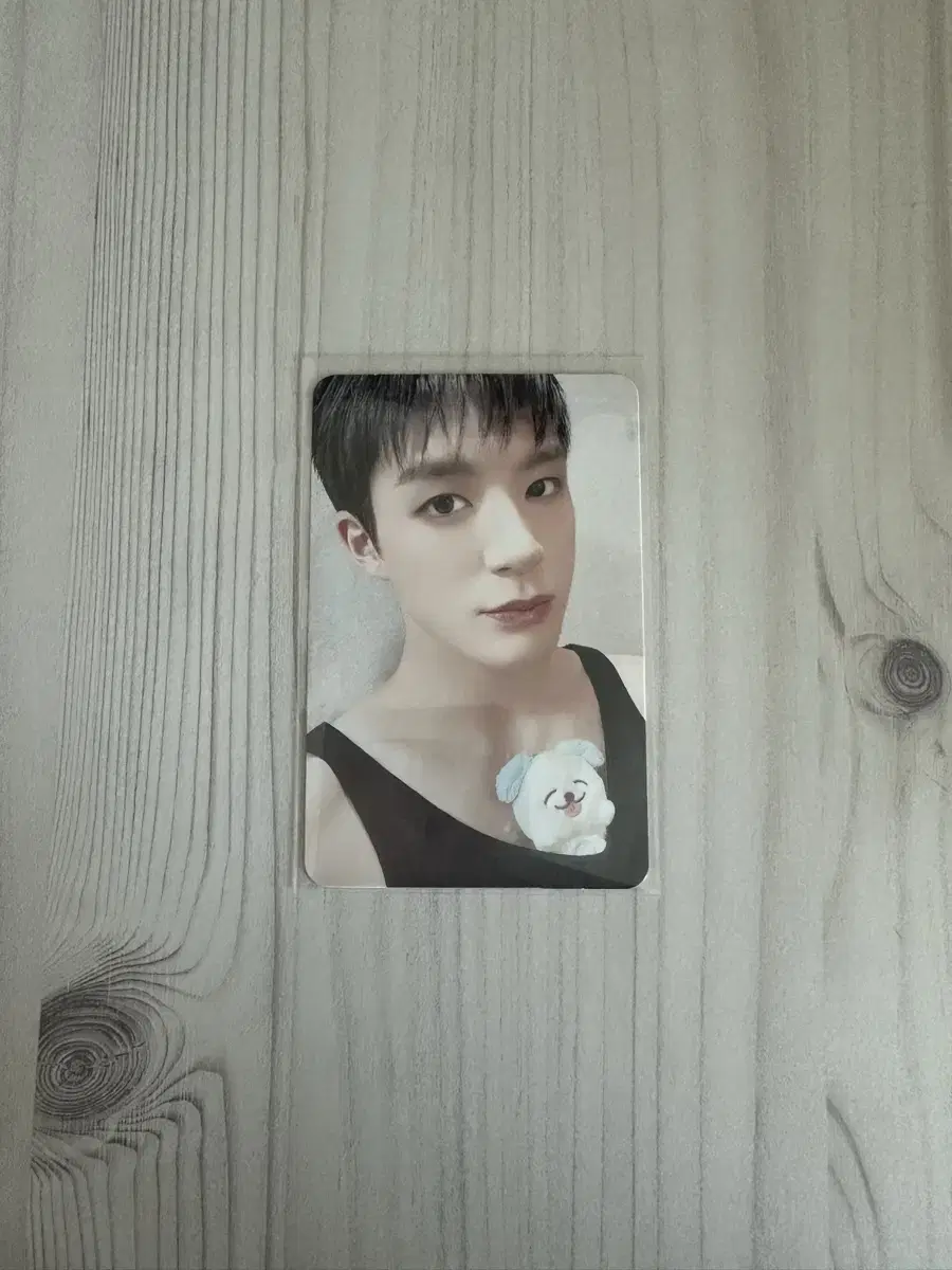 nct dream jeno mungi doll photocard