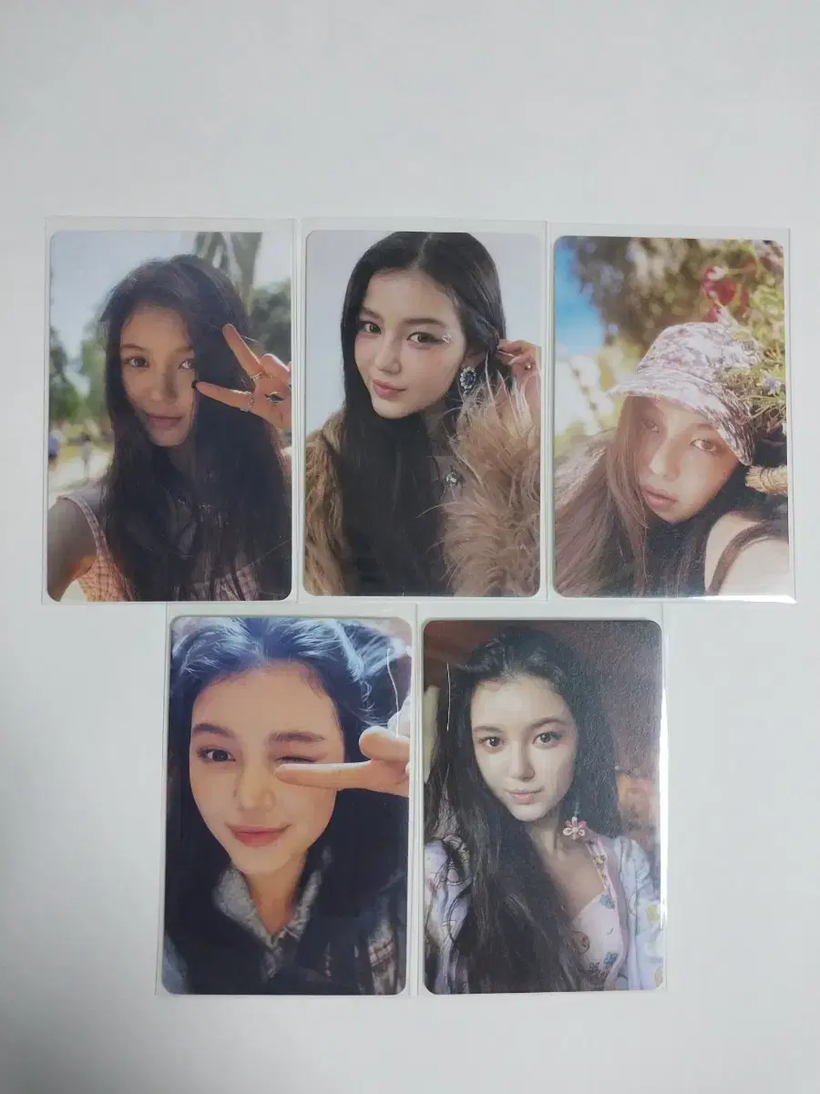 Danielle Bloo Book photocard, ID card sold in bulk