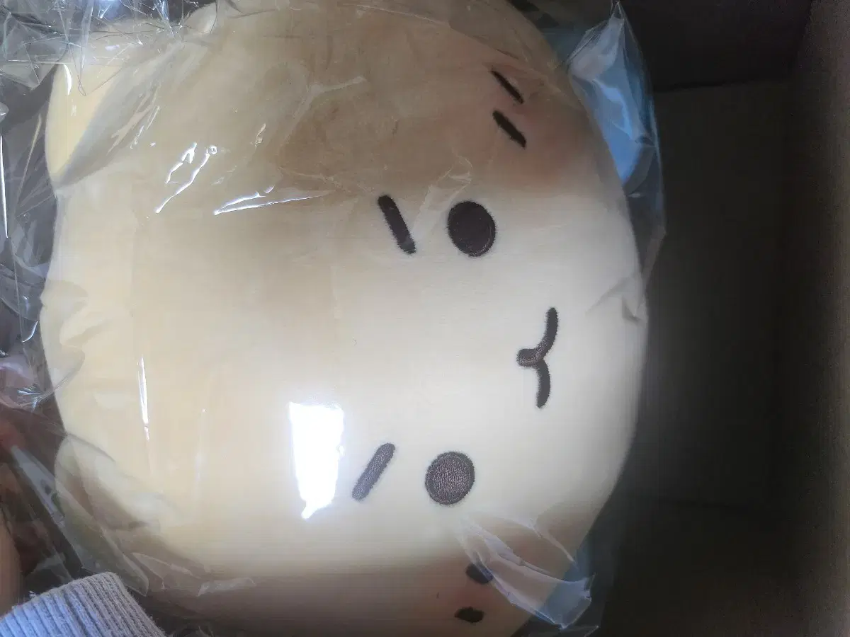 망그러진 곰 망곰이 팝업 필로우