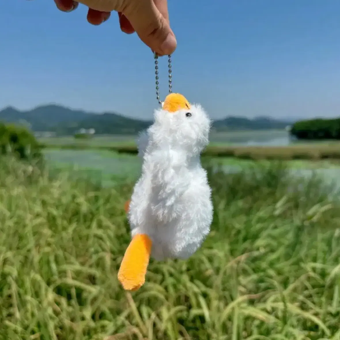 에이블리 오리인형 공구