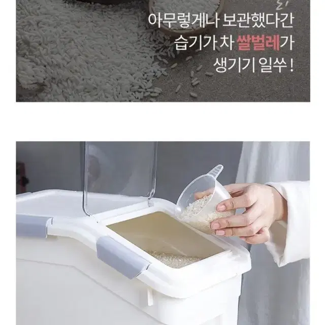 서진이네2 고민시 쌀통 대용량 17.5L 25L 밀폐 쌀보관통 잡곡통 사