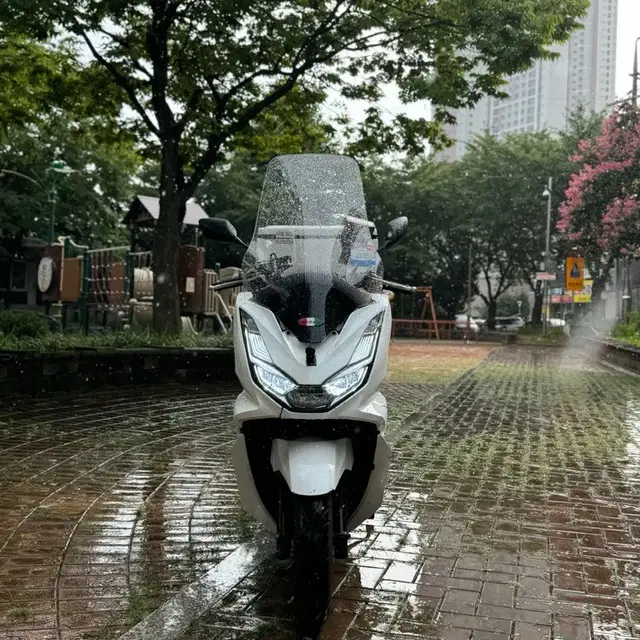 pcx125 22년식