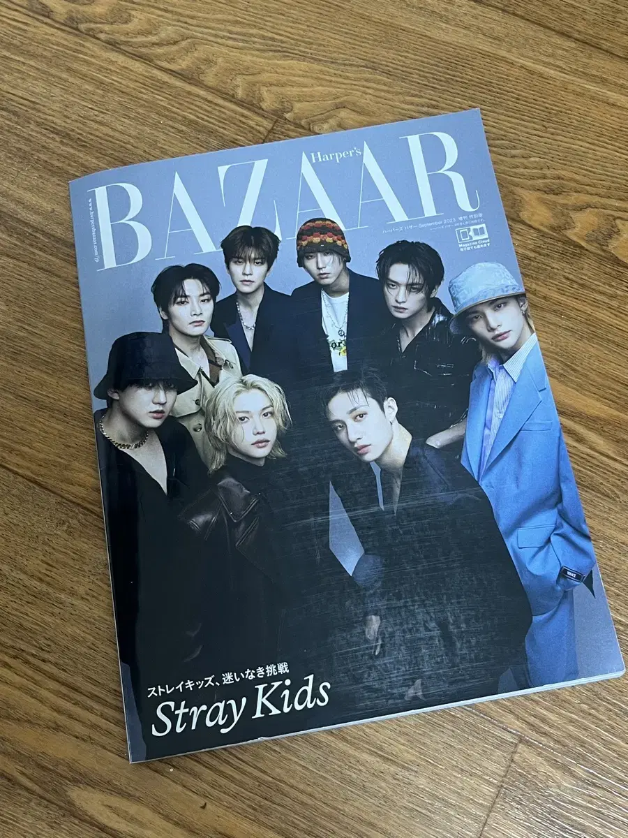 Skz Bazaar Photo Shoot