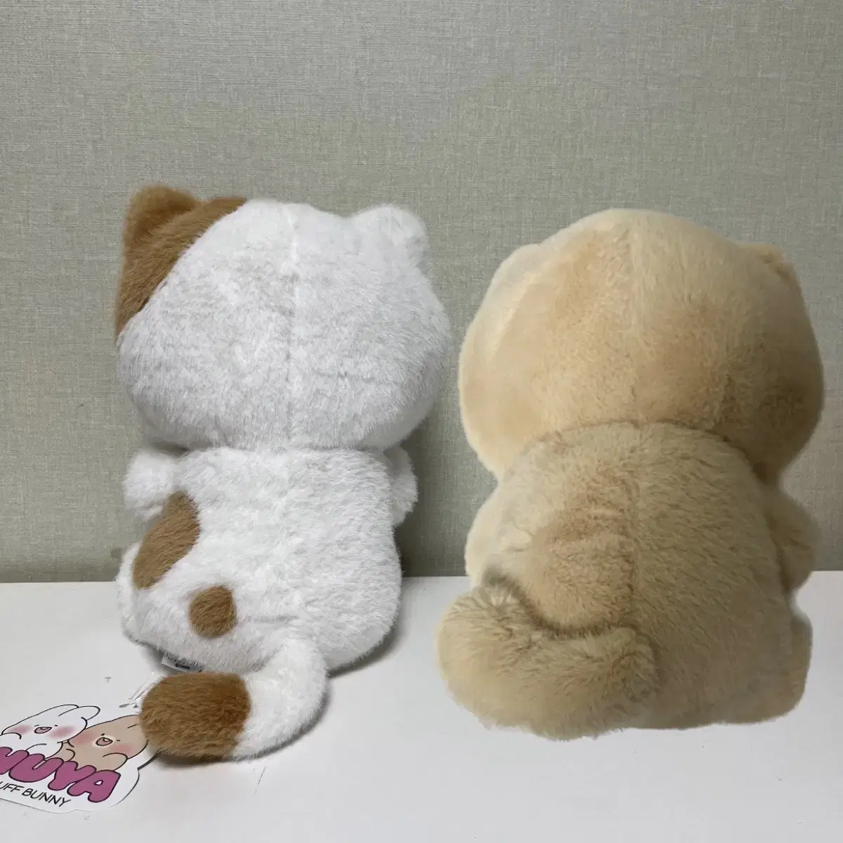 슈야토야 고양이 코스튬 중형인형 (30cm)