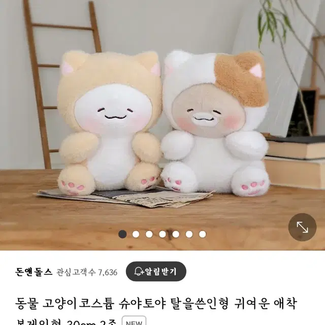 슈야토야 고양이 코스튬 중형인형 (30cm)