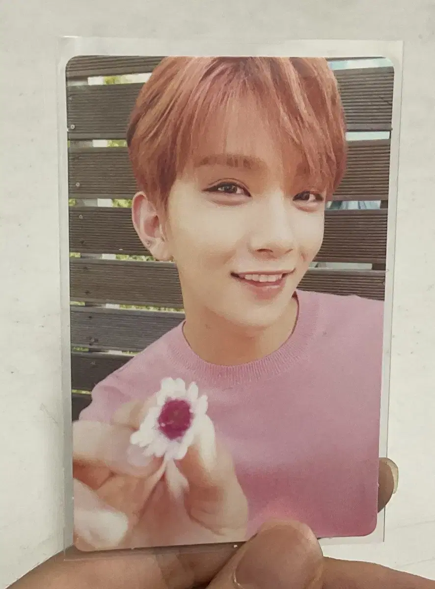 Bakewhite wts / seventeen joshua  Clap White photocard sells