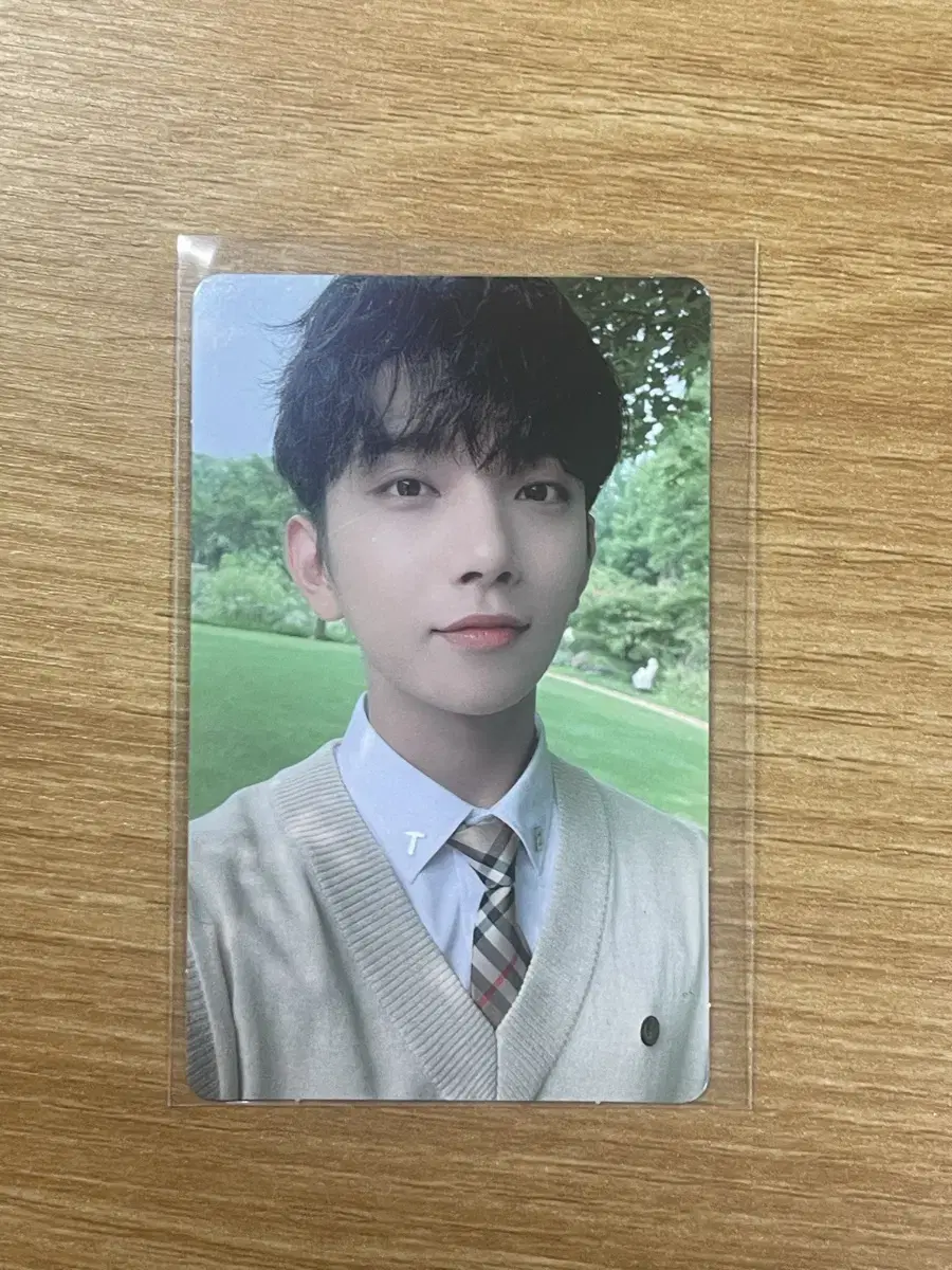 Seventeen Social Club joshua photocard