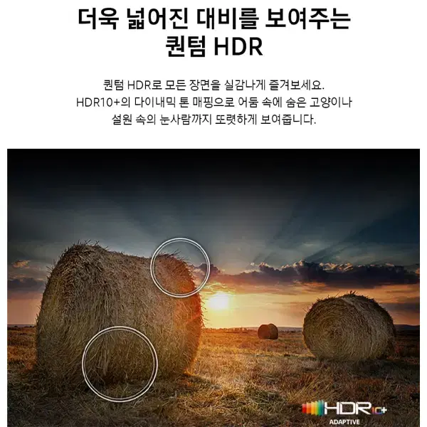 [렌탈]삼성 2024 QLED TV 렌탈