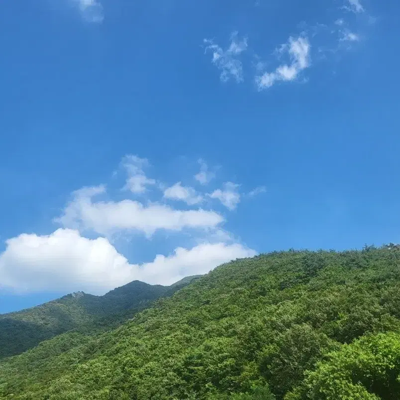 (반택포)디어도어 대즐링 래디언트 바디 앤 핸드 워시 300ml