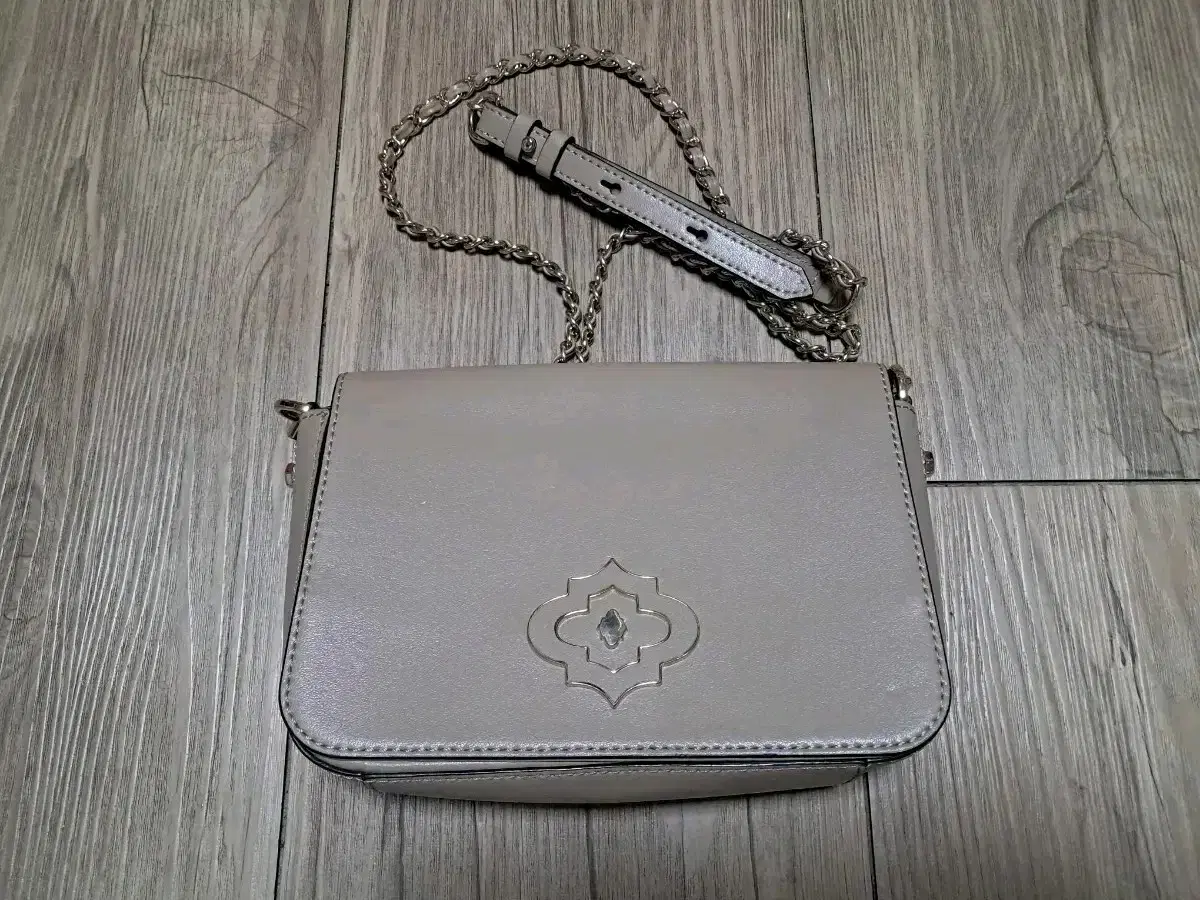 Oyani Chain Crossbody Bag