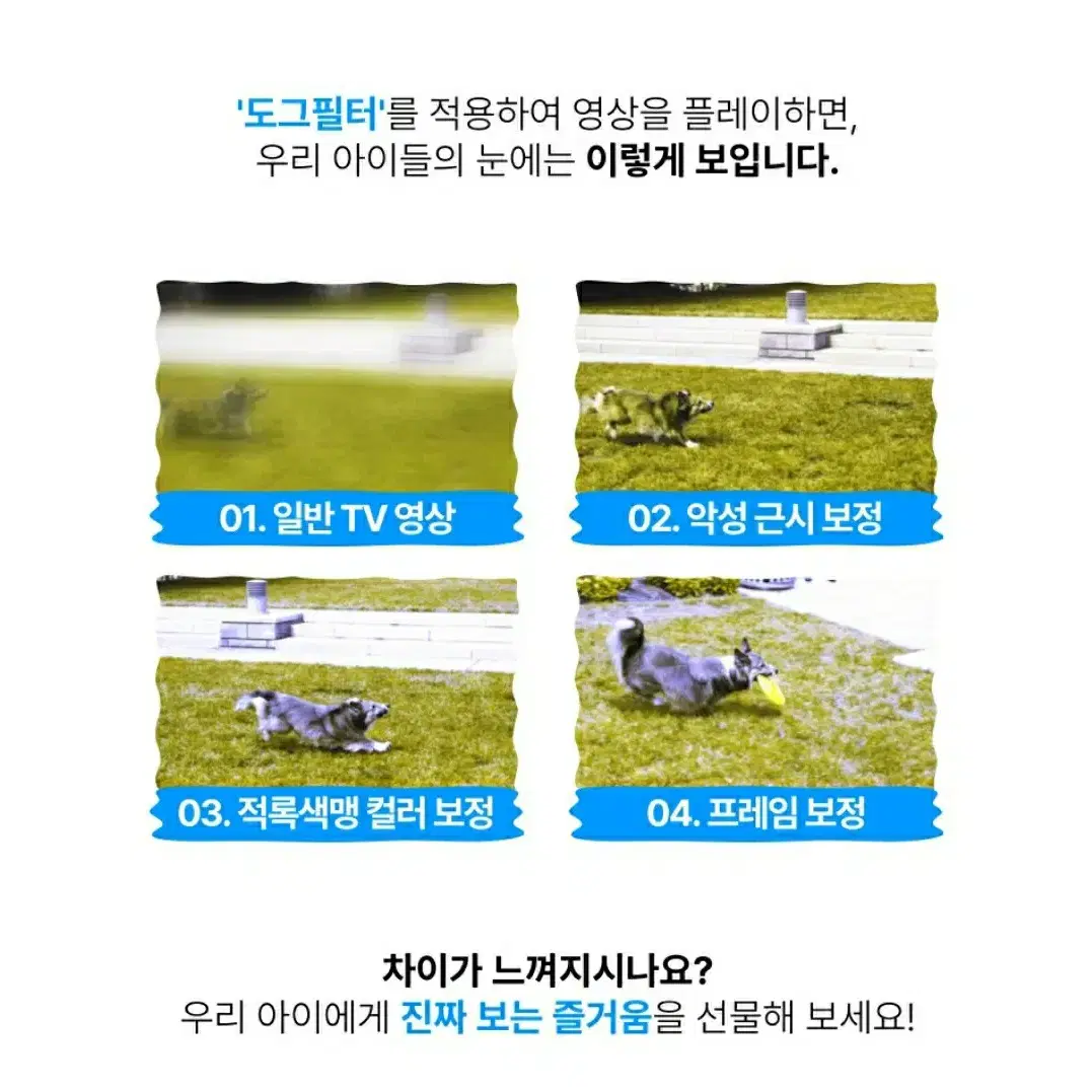 [새상품] 정가80만원 독스플레이 강아지 TV 홈캠 영상통화