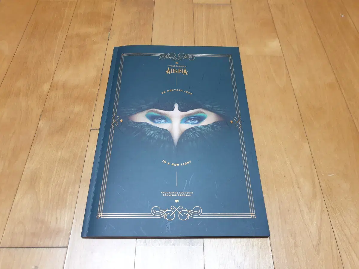 Cirque du Taeyang Brochure