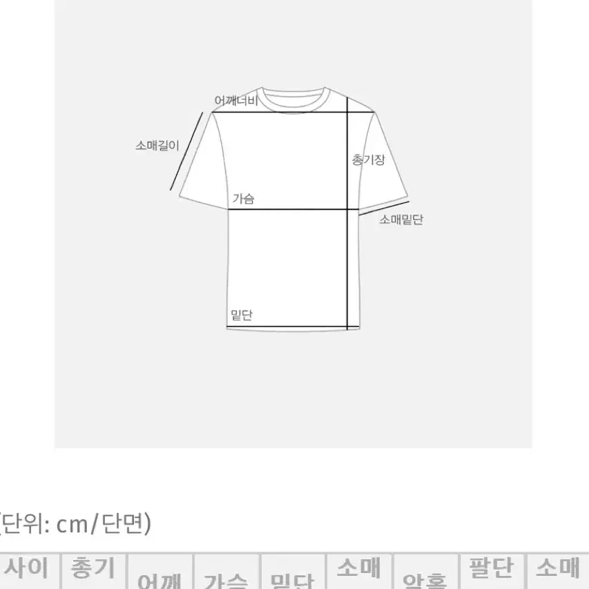 (급처)빅사이즈 베이직 라운드 기본 티셔츠 반팔 긴팔 각각 만원