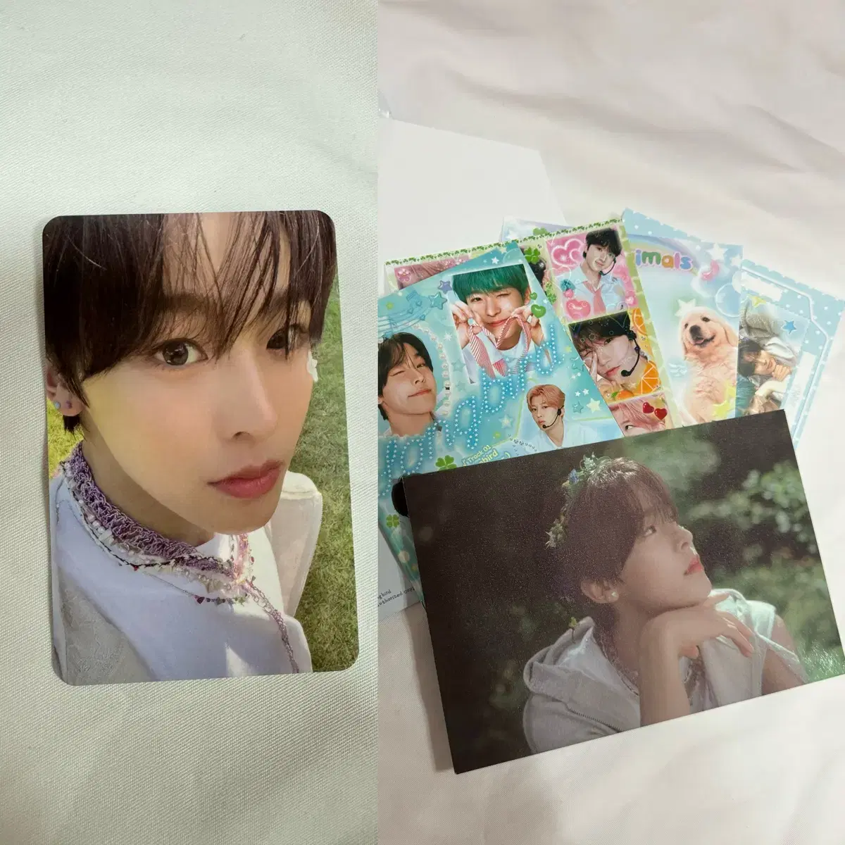 NCT Wish Song Bird Letterver. riku photocard+unsealed album set