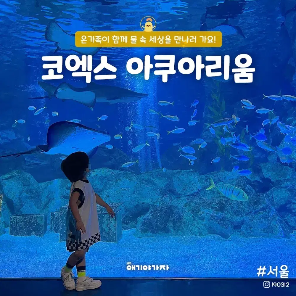 코엑스 아쿠아라움 모바일 티켓 2장 판매합니다 12월 31일까지