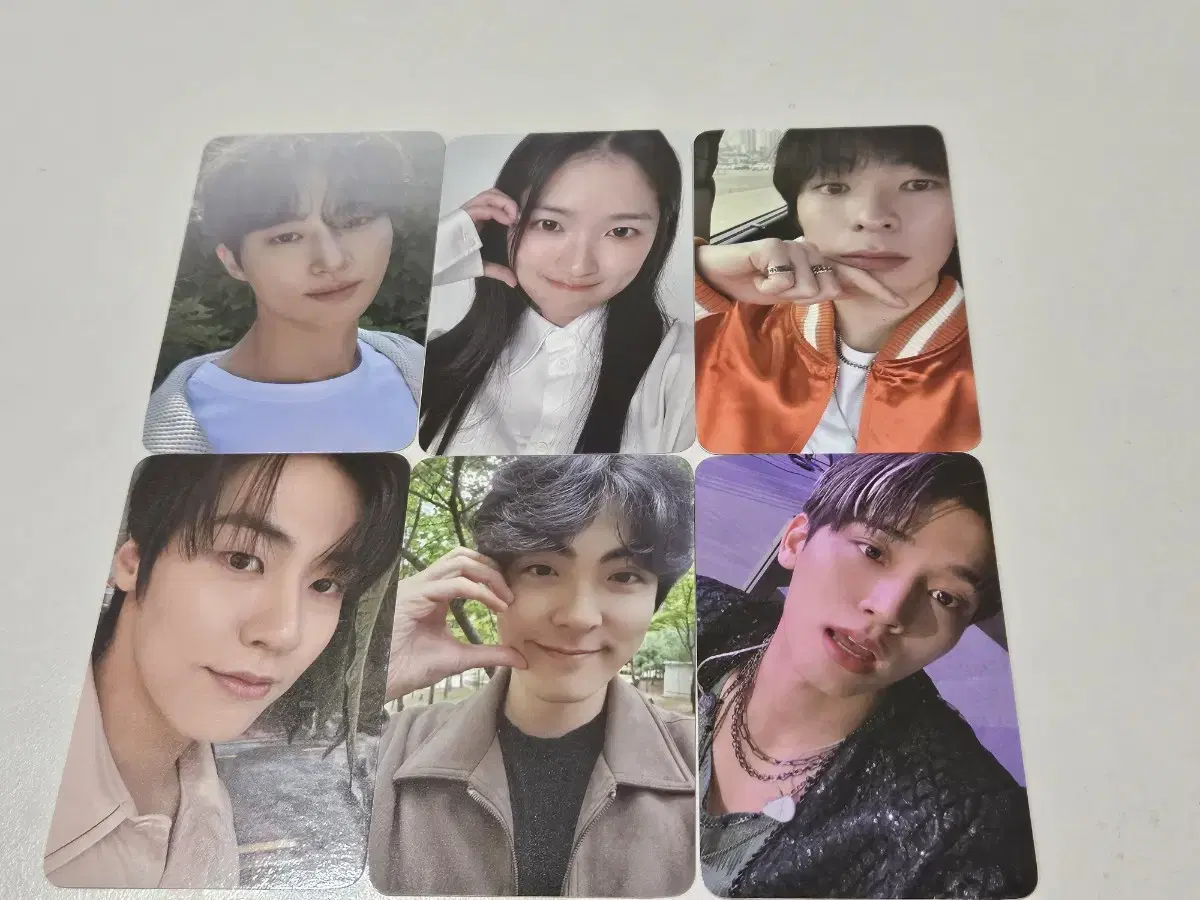 Bulk Blue Shark Photo Cards