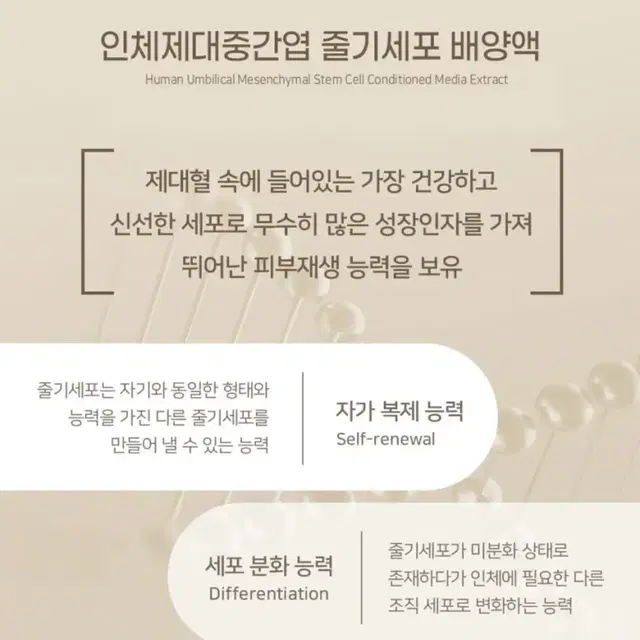 [새제품] 본셀 리페어 퍼펙팅 영양 앰플 12ml