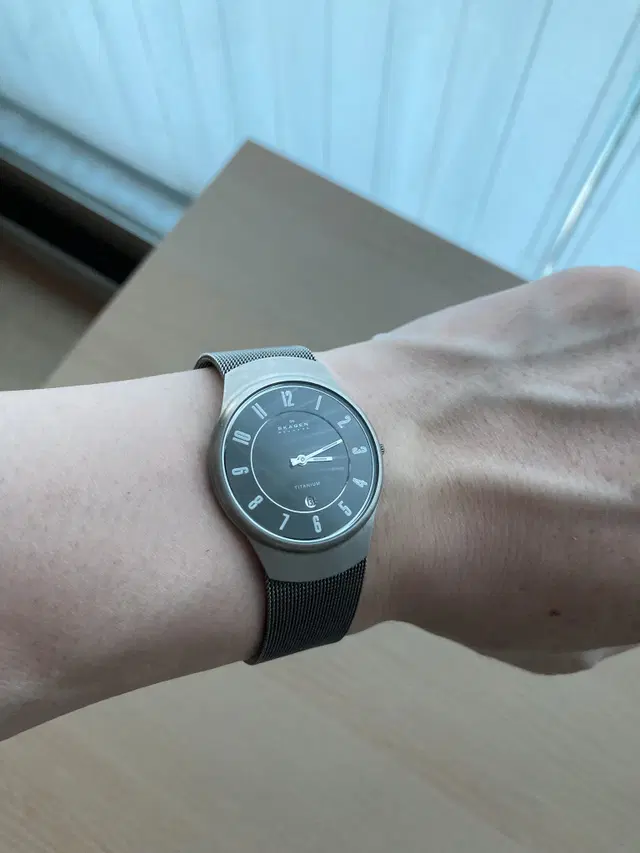 남성 시계 스카겐 Skagen 533LTTM