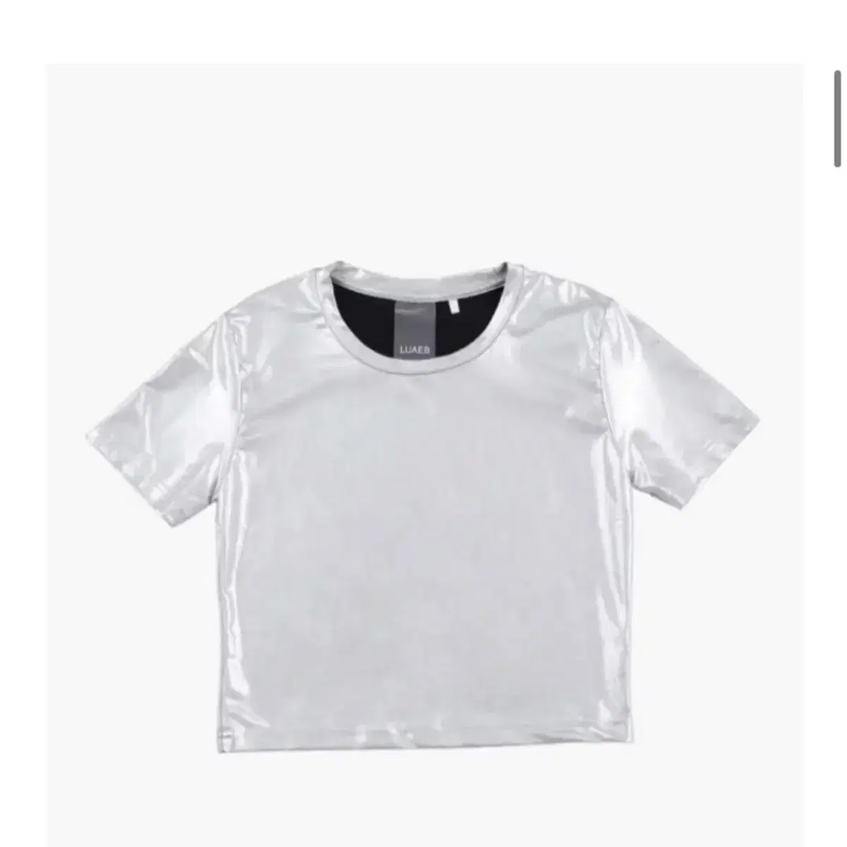 Luaeb metalic silver crop top