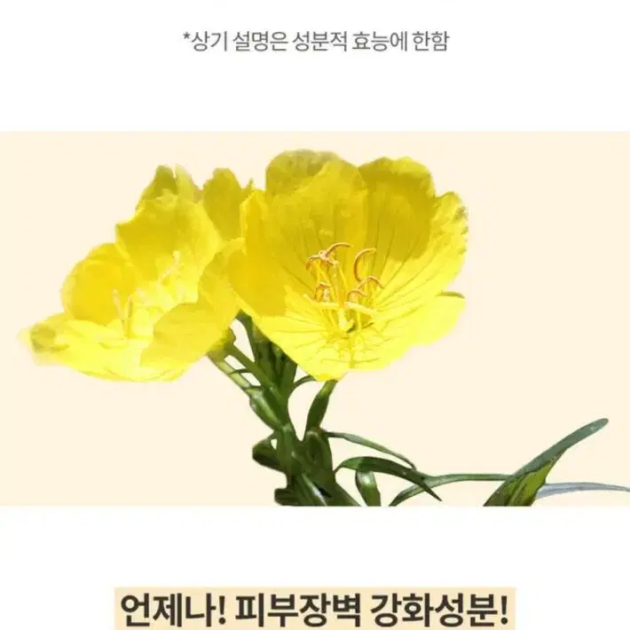 디마프 버블 마이 퍼스트 세럼 스킨 토너 145ml