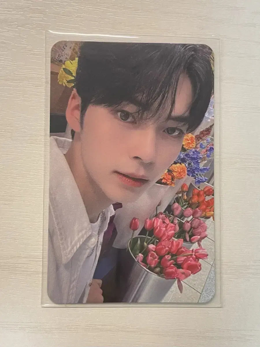 Zerobaseone sung hanbin oliveyoung photocard