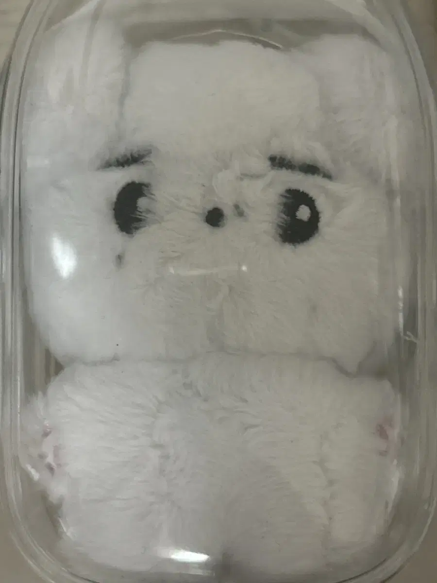 엔하이픈 성훈 인형 양도 엔하즈 enhypen sunghoon doll