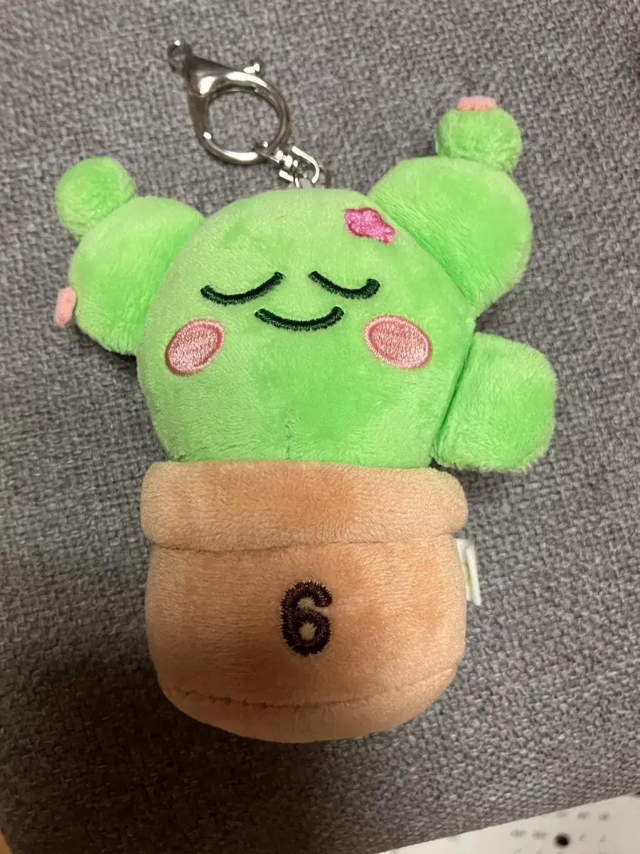 IU succulents keyring for sale!