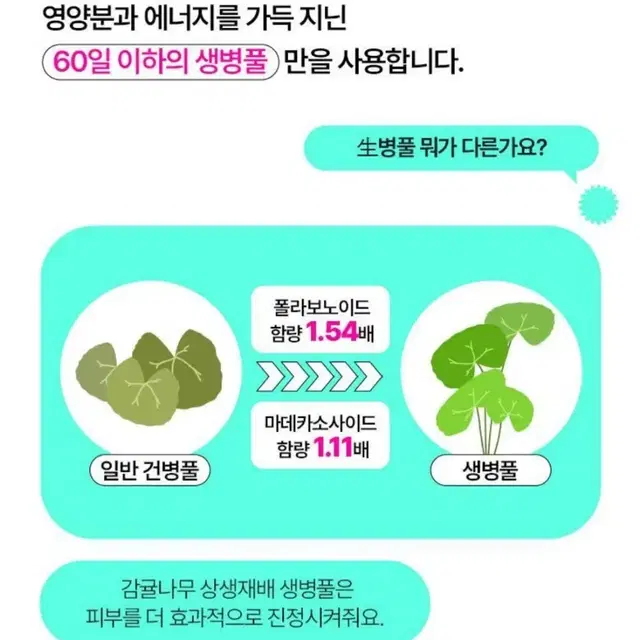 브링그린 티트리 시카 톤업 선쿠션 리필(새상품)