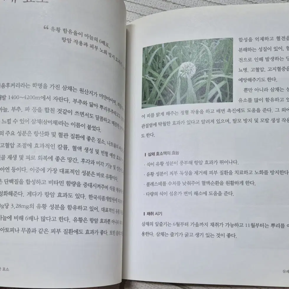 김시한 원장의 달지 않은 효소 만들기