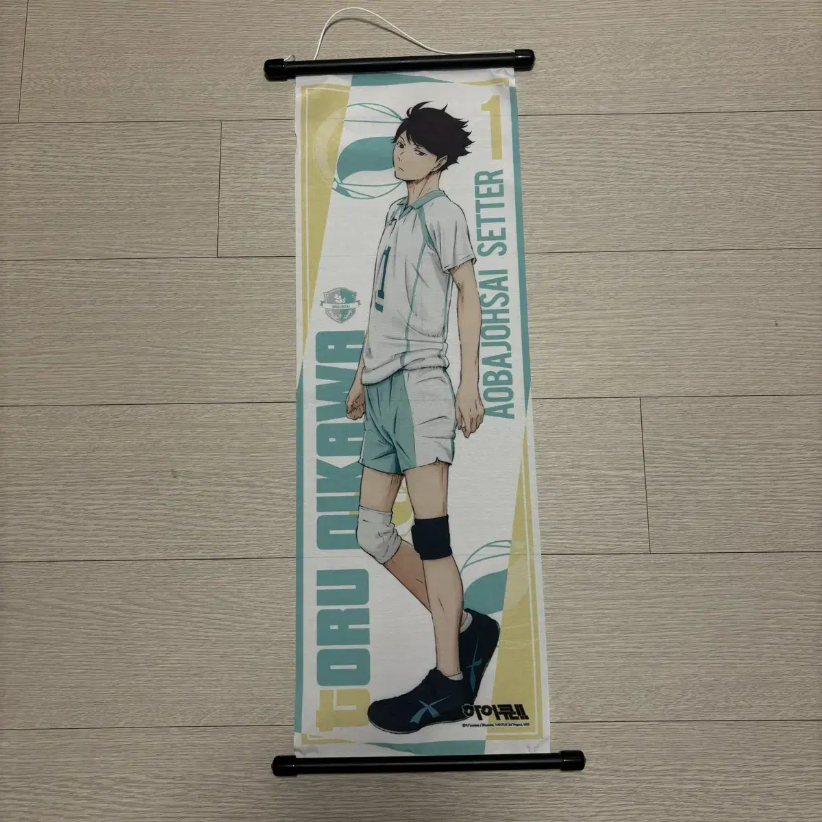 Oikawa foot sticks wts sells