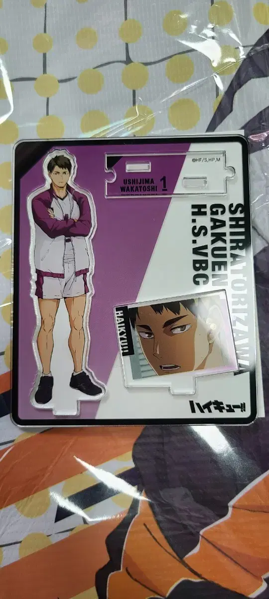 Haikyuu Diorama Acrylic - Wakatoshi Ushijima