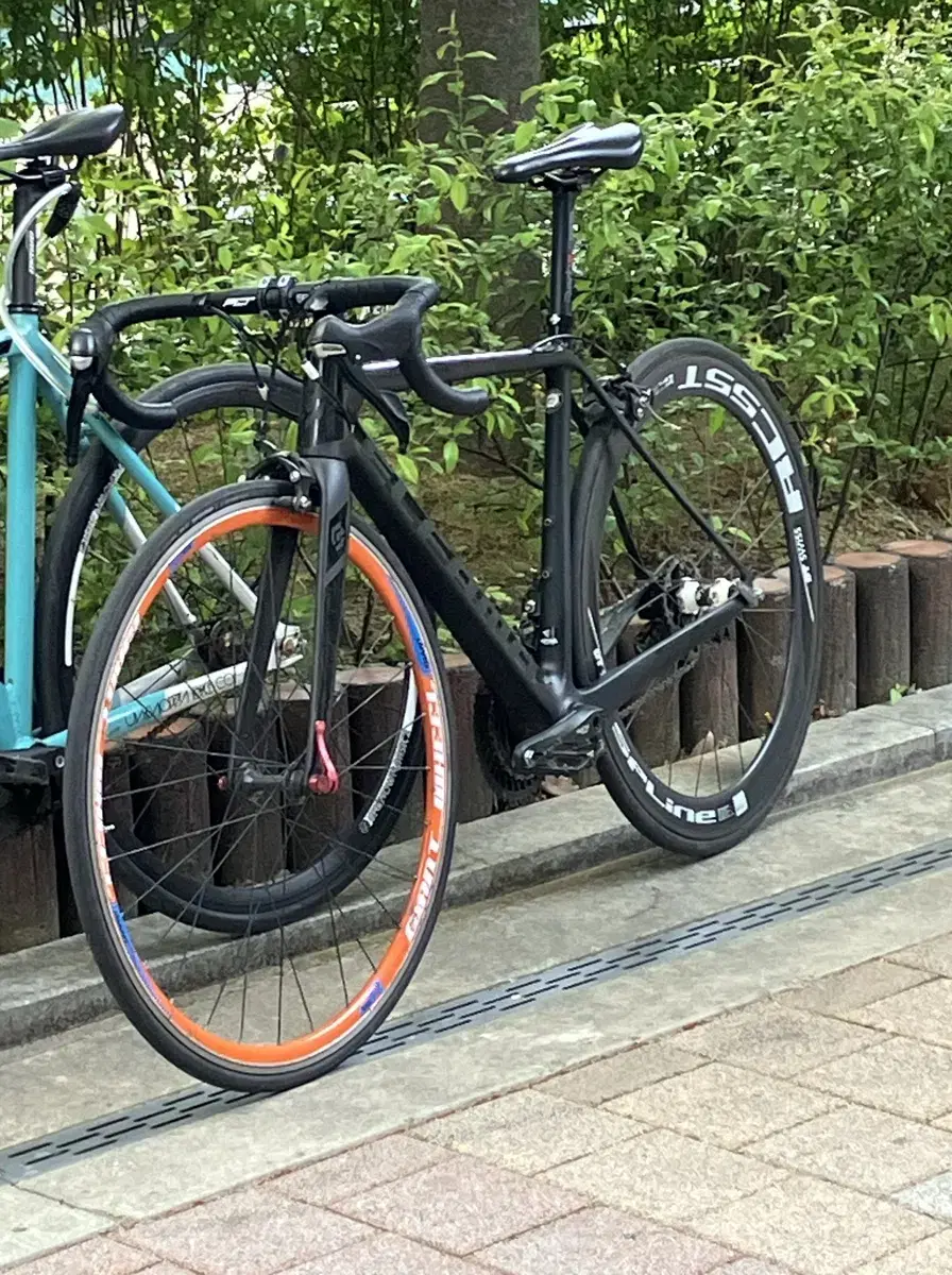 Elphama LAYDAR full carbon frame, carbon ditto Swiss wheels (unmolested) (received a loaner)