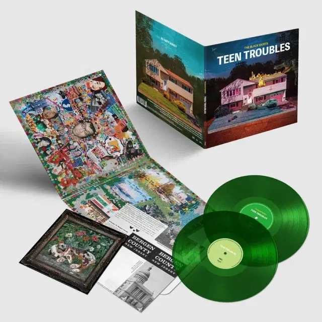 검정치마 틴트러블 TEEN TROUBLES lp 배송지 변경