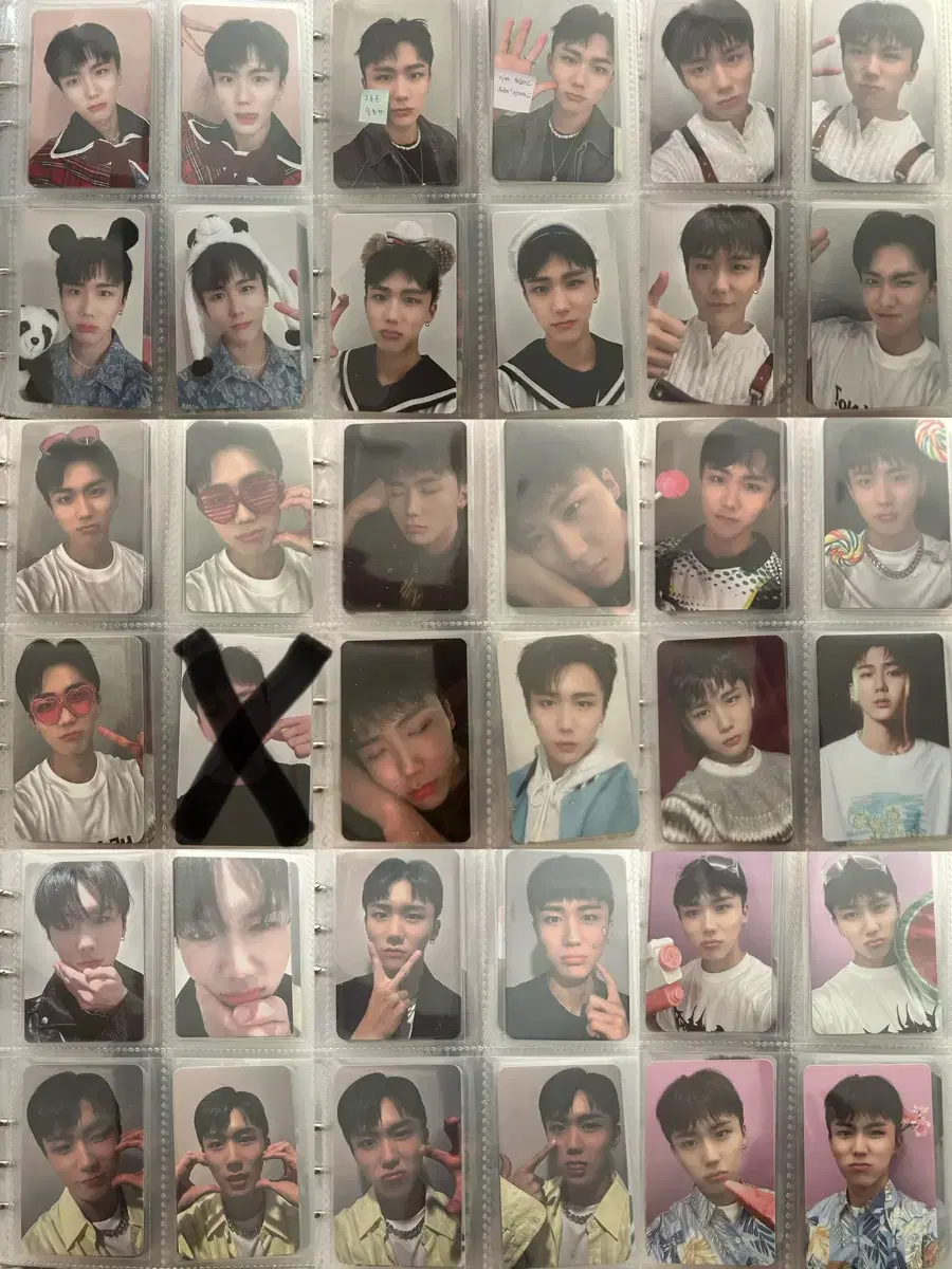 DKZ Species photocard wts