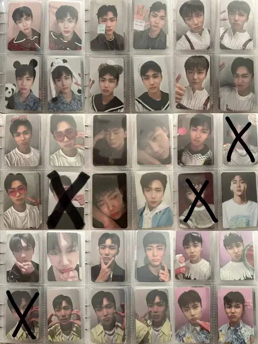 DKZ Species photocard wts