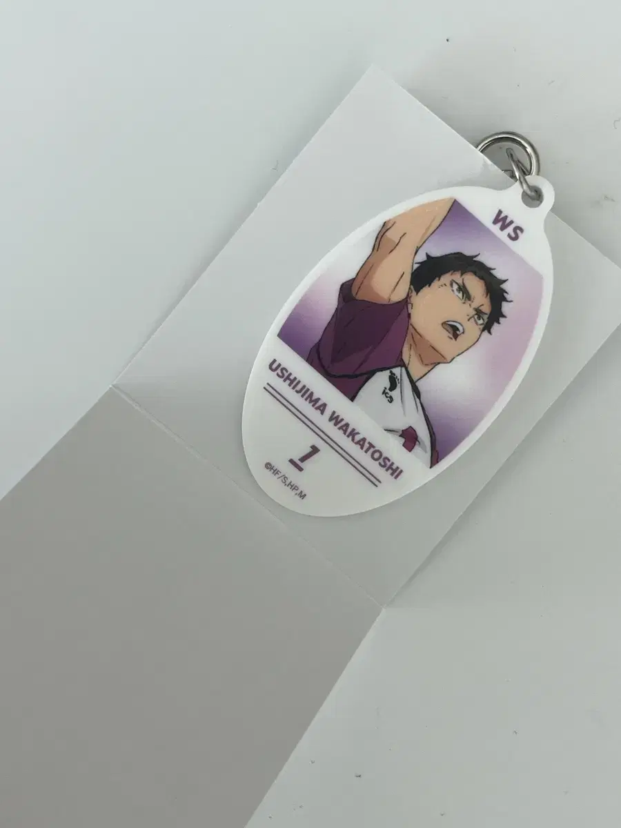 Ushijima Keyring