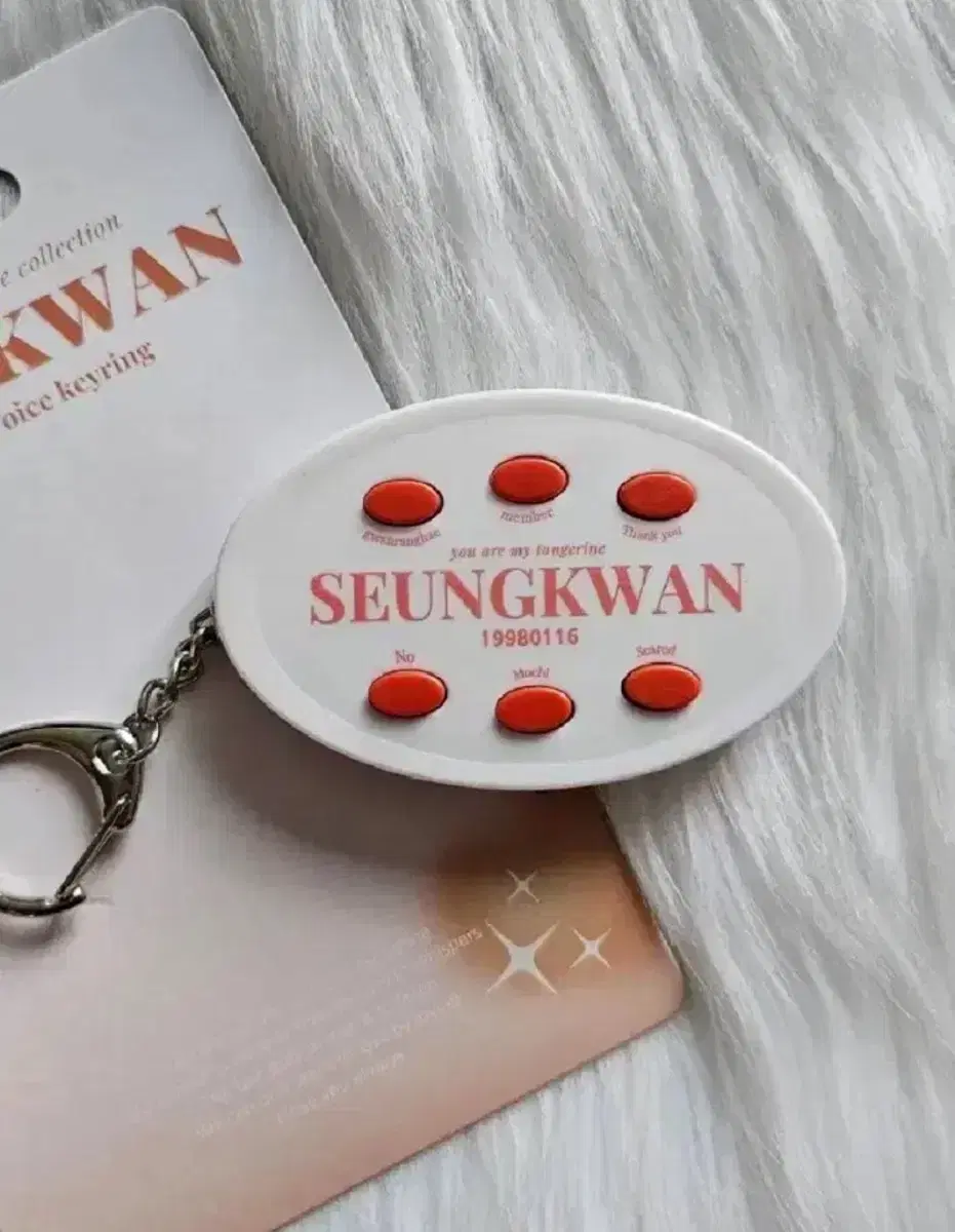 Seungkwan seventeen Voice Keyring