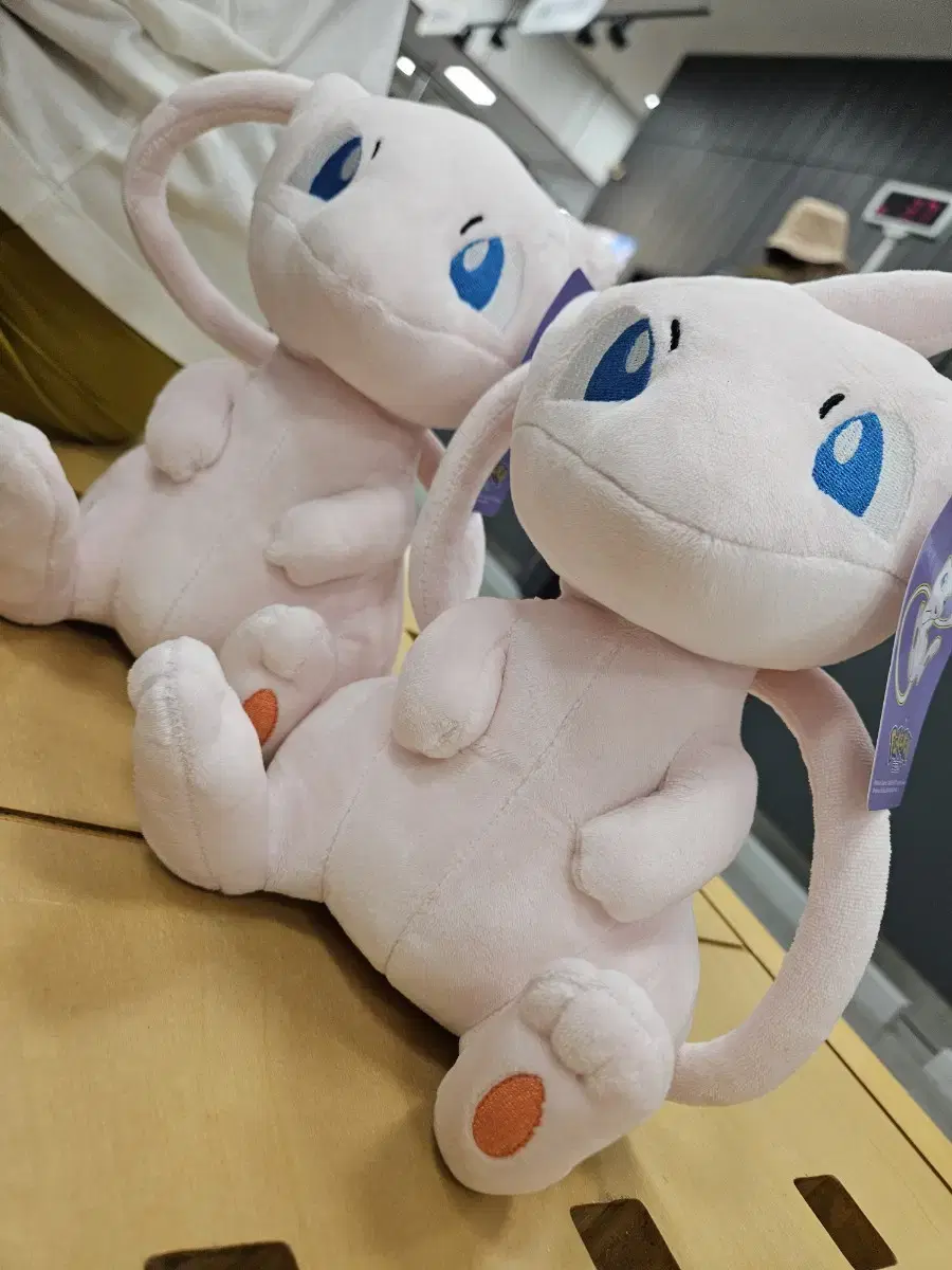 Pokémon mu dolls