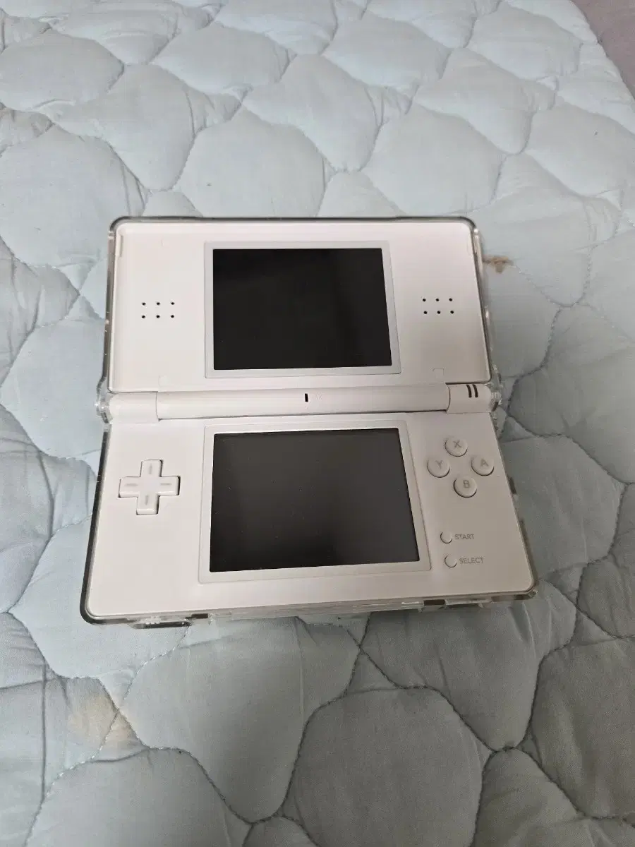 닌텐도 DS lite