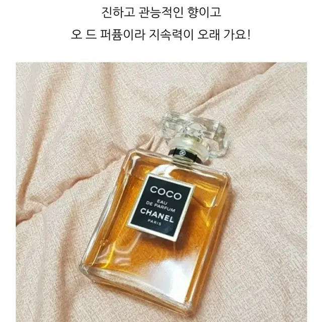 샤넬 향수 /코코마드모아젤샤넬 느와르  샤넬샹스3종