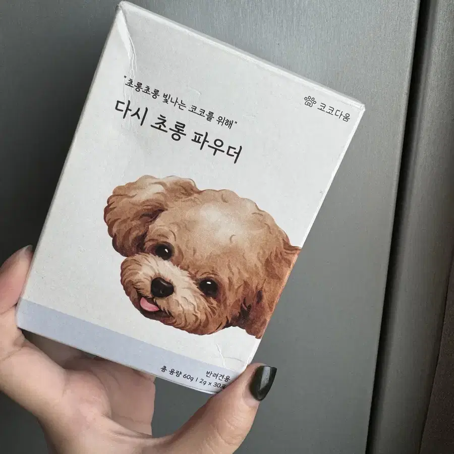 강아지 다시 초롱파우더