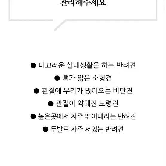 강아지 애견 슬개골 다이어트 재활 운동 짐볼