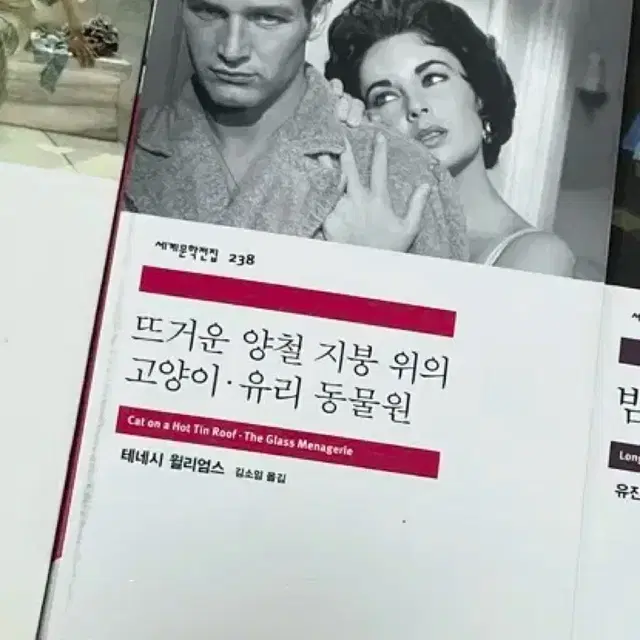 민음사 뜨거운 양철 지붕위의 고양이 . 유리동물원 . 테네시 윌리엄스