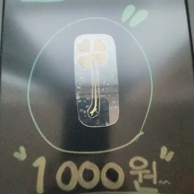 네잎클로버!)오늘만 1000원!