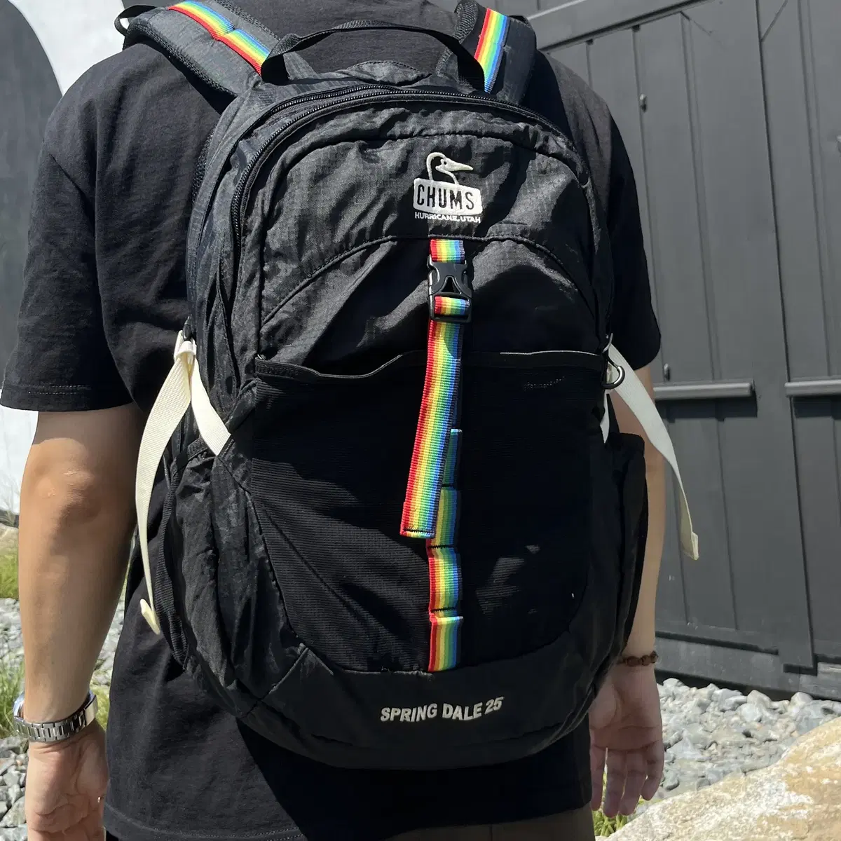 CHUMS Spring Dale 25 Backpack