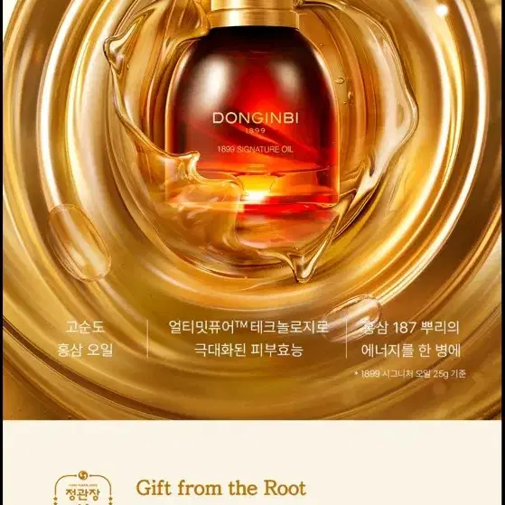 정관장 동인비 1899 시그니처 오일 25g +싱글에센스 (70ml) /