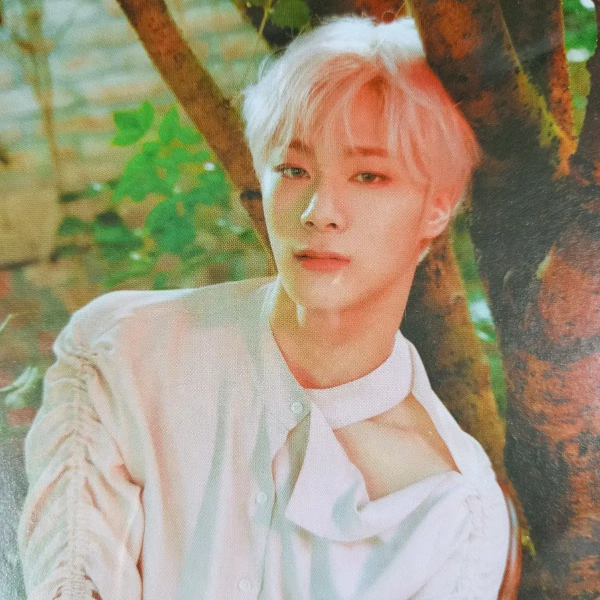 아스트로 astro 올라잇 전화해 정규2집 문빈 산하 라키