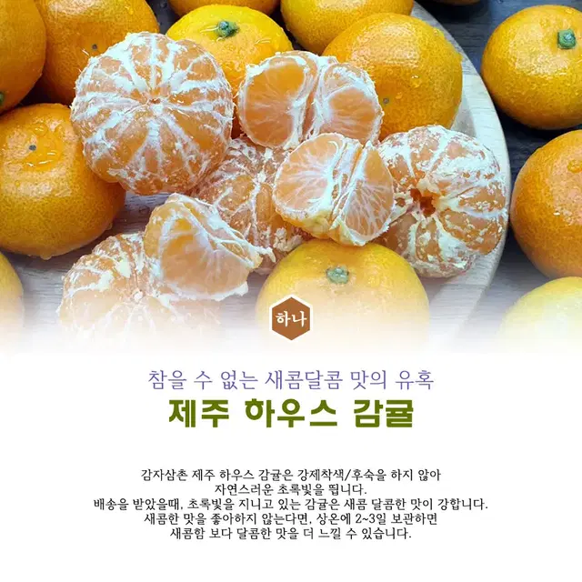 제주 제철 고당도 하우스 감귤 가정용 1kg (2S~S)