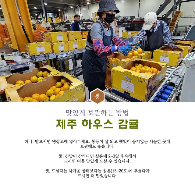 제주 제철 고당도 하우스 감귤 가정용 1kg (2S~S)